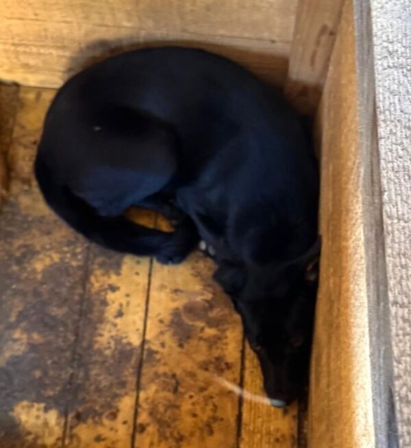 KIERA (♀) – Bild 2