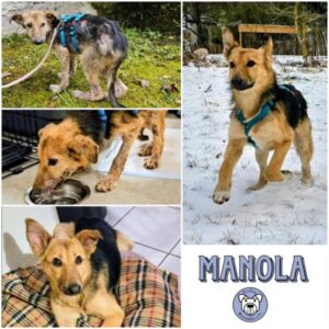 MANOLA - Gnadenplatzhund seit dem 18.10.2025