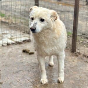 KEKS (⚤) - seit 2022 im Shelter