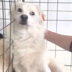NALA (♀)