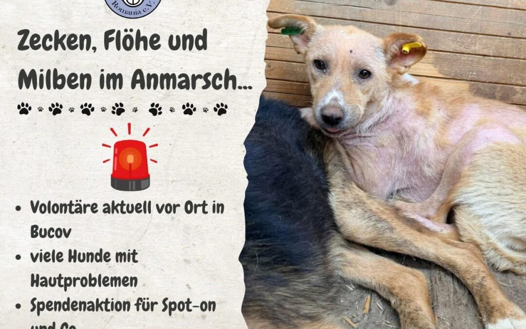⚠️ Spendenaktion für Zecken & Milbenschutz – Bitte helft mit!