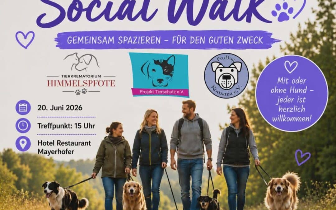 🐕 SOCIAL WALK – GEMEINSAM FÜR DEN GUTEN ZWECK 🐕