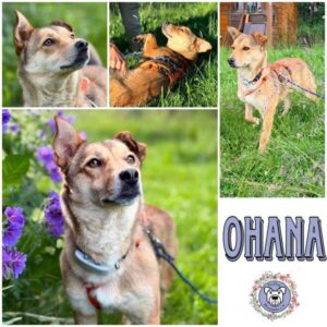 OHANA (♀) in 95615 Marktredwitz