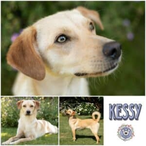 KESSY (♀) in 41238 Mönchengladbach